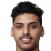 ناصر الدجاني