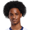 Tynan Thompson