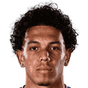 ريو كاردينيس