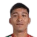 martin caballo