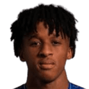 كاردوسو فاريلا