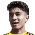 مهند محمد