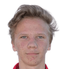 غريغور فيغلا