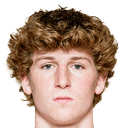 هاري ماكغلينشي