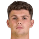 ليوناردو بورتولي