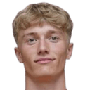 فيكتور غوستافسن