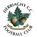 Derriaghy FC