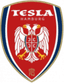 Tesla Burger
