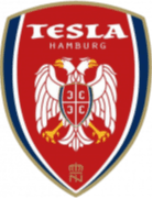 Tesla Burger