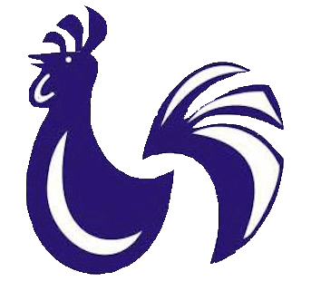 نادي غالوس فييخوس