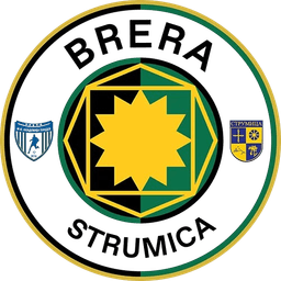 أكاديمي بانديف