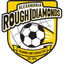 Alexandria Rough Diamonds