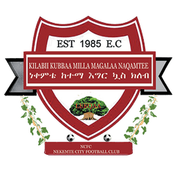Nekemte Ketema