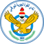 القوة الجوية