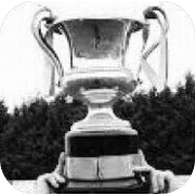 नॉर्दर्न आयरलैंड इंटरमीडिएट कप