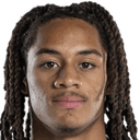 غان إيرديني