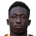 ماميدي دوكوري