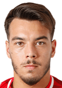 ميهاي نيكوتيسكو