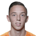 فيدي دي يونغ