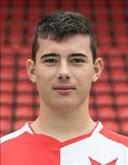 مايكل هونيغ