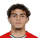 Guilherme Martinho Peixoto