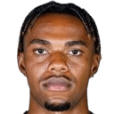 تشارلز هيرمان