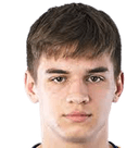 ميليان كربيتش