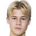 ثيو بيرجفال