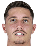 ديفيد ميكوليسكو