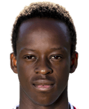 ميشيل دريزين