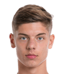 تيم فان دين هوفل