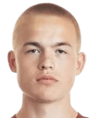 فاينو فيهكونن