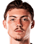 نيكولا كافلينا