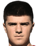 ستيفان بيرجيتش