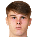 لي روبرت كافانا