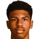 Andre Harriman-Annous