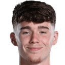 ريتشاردسون, لويس