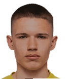 أرتيم دافيدوفيتش