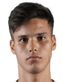 ميغيل ريزينه