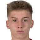 كريستيان ويتزيغ