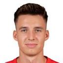 دوستين ويلمس