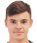 نوي هولنشتاين