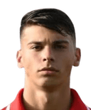 بروكلين بورغ