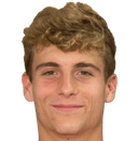 أندر فيدوريتا