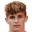 دينيس هانزيلكا