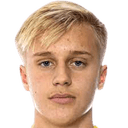 لودفيغ نيكلاسون