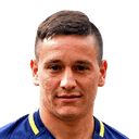 فرناندو زوكوي