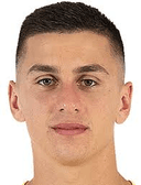 إنيس فازلاجيتش