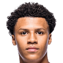 فريد سيدينو