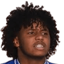 يونس الشنقيطي